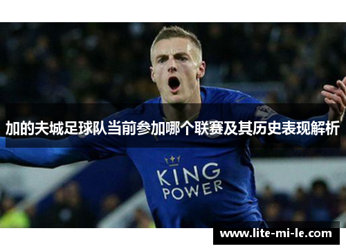 加的夫城足球队当前参加哪个联赛及其历史表现解析 加的夫城足球队当前参加哪个联赛及其历史表现解析